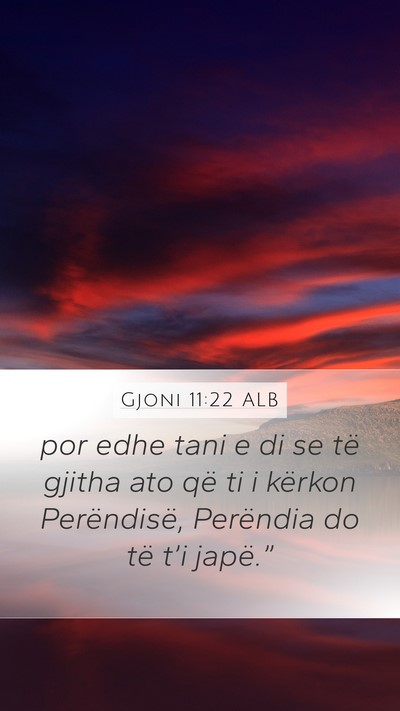 Gjoni 11:22 ALB Bible Verse Image