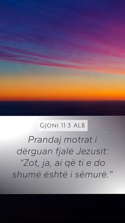 Gjoni 11:3 ALB Bible Verse Image