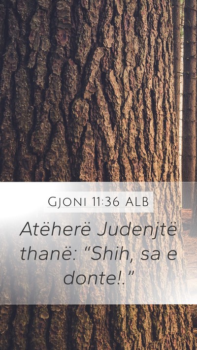 Gjoni 11:36 ALB Bible Verse Image