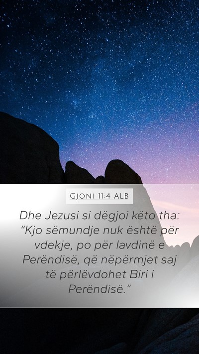 Gjoni 11:4 ALB Bible Verse Image