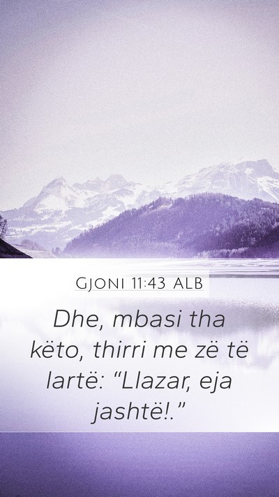 Gjoni 11:43 ALB Bible Verse Image