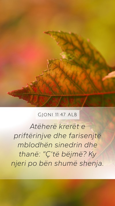 Gjoni 11:47 ALB Bible Verse Image