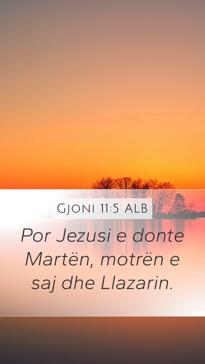 Gjoni 11:5 ALB Bible Verse Image