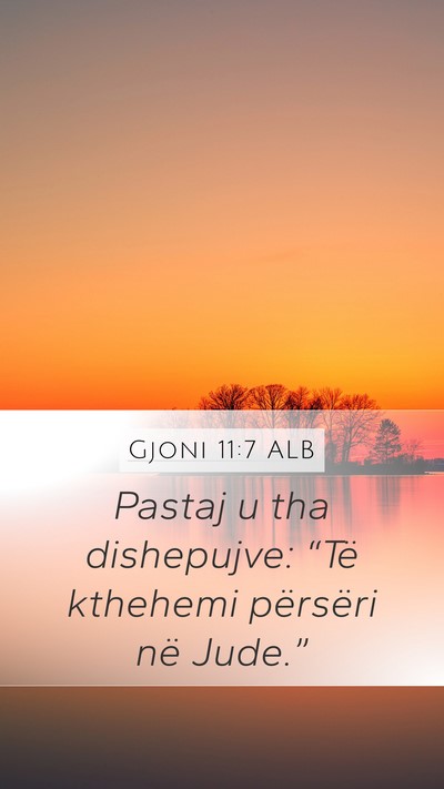 Gjoni 11:7 ALB Bible Verse Image