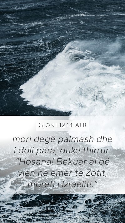 Gjoni 12:13 ALB Bible Verse Image