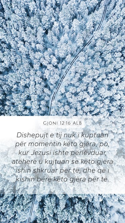 Gjoni 12:16 ALB Bible Verse Image
