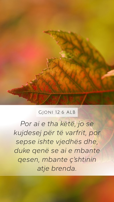 Gjoni 12:6 ALB Bible Verse Image