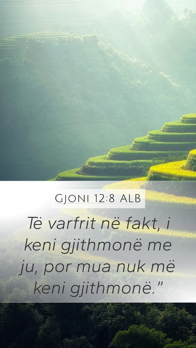 Gjoni 12:8 ALB Bible Verse Image
