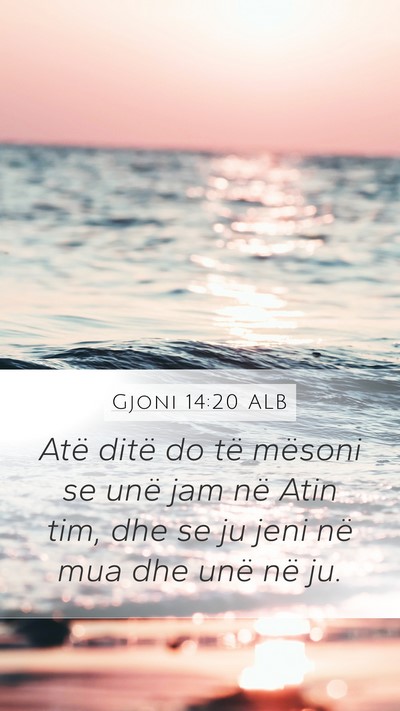 Gjoni 14:20 ALB Bible Verse Image