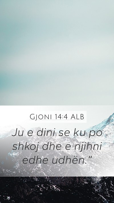 Gjoni 14:4 ALB Bible Verse Image