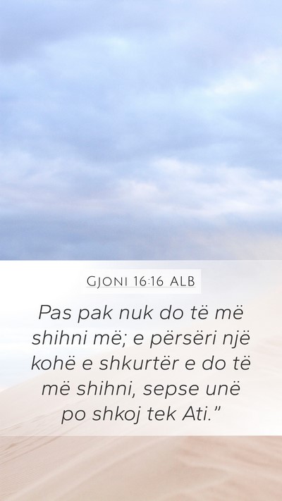 Gjoni 16:16 ALB Bible Verse Image