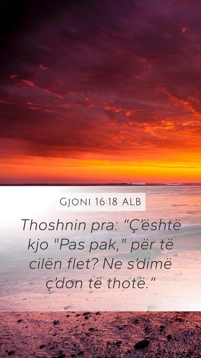 Gjoni 16:18 ALB Bible Verse Image