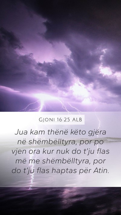 Gjoni 16:25 ALB Bible Verse Image