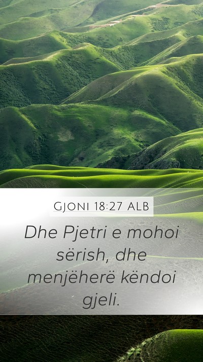 Gjoni 18:27 ALB Bible Verse Image