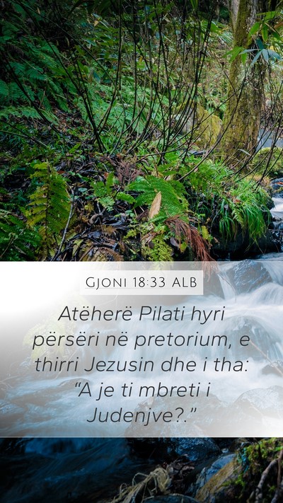Gjoni 18:33 ALB Bible Verse Image