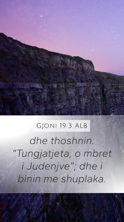 Gjoni 19:3 ALB Bible Verse Image