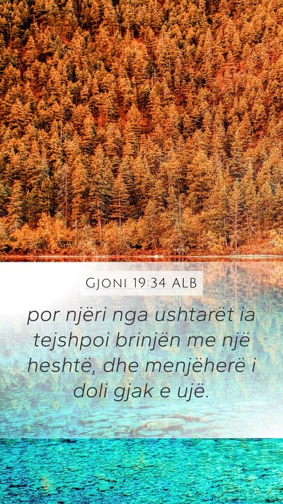 Gjoni 19:34 ALB Bible Verse Image