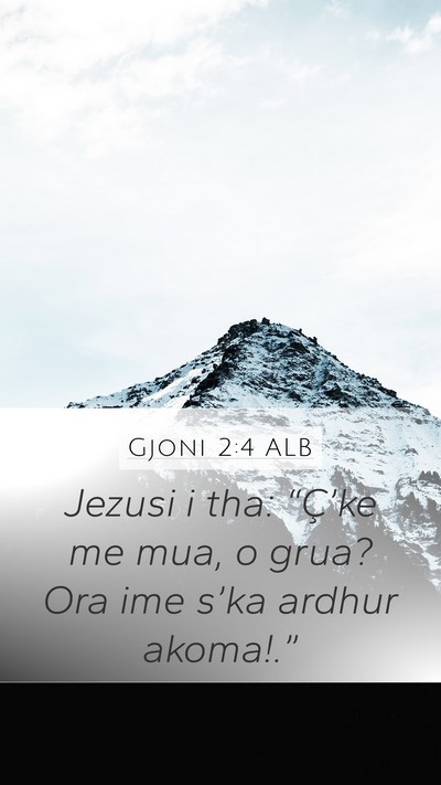 Gjoni 2:4 ALB Bible Verse Image