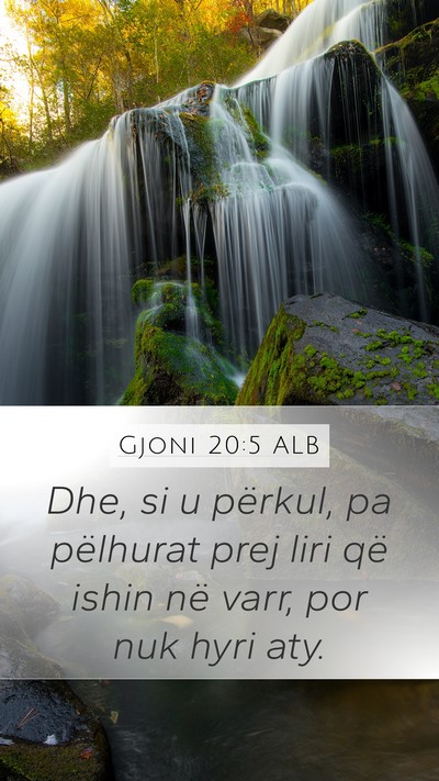 Gjoni 20:5 ALB Mobile Phone Wallpaper - Dhe, si u përkul, pa pëlhurat prej liri që - Mobile Bible Verse Wallpaper