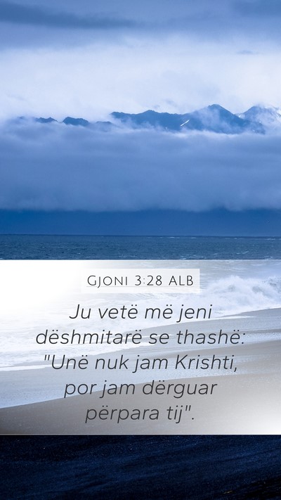 Gjoni 3:28 ALB Bible Verse Image