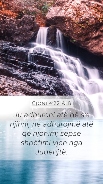 Gjoni 4:22 ALB Bible Verse Image