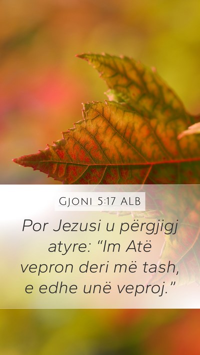 Gjoni 5:17 ALB Bible Verse Image