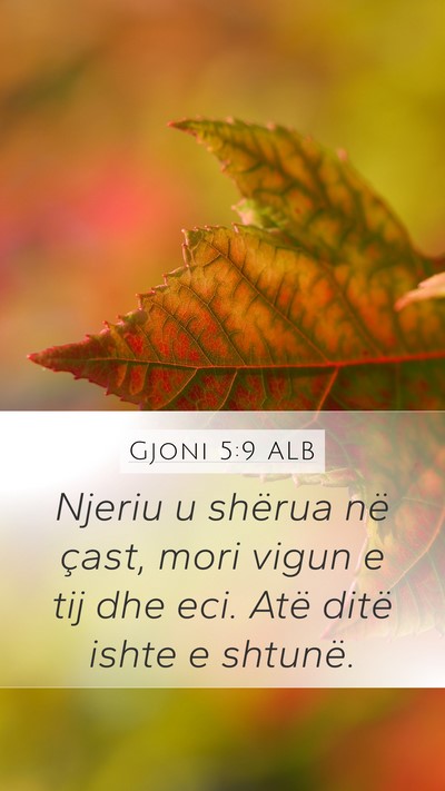 Gjoni 5:9 ALB Bible Verse Image