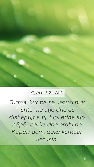 Gjoni 6:24 ALB Bible Verse Image