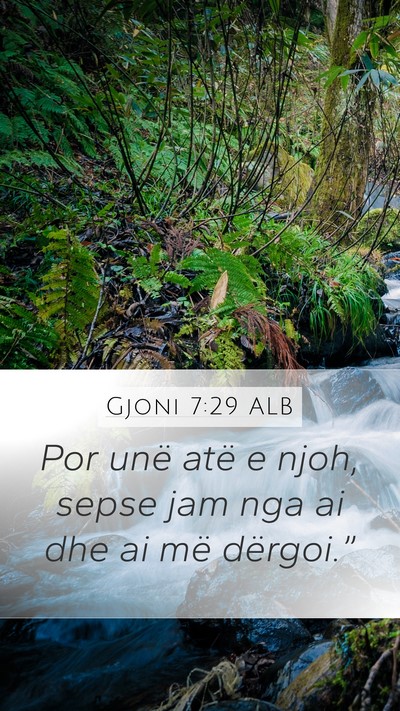 Gjoni 7:29 ALB Mobile Phone Wallpaper - Por unë atë e njoh, sepse jam nga ai dhe ai më - Mobile Bible Verse Wallpaper