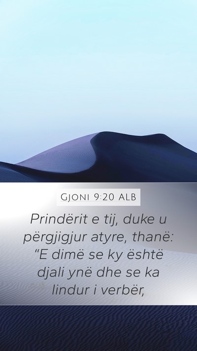 Gjoni 9:20 ALB Bible Verse Image