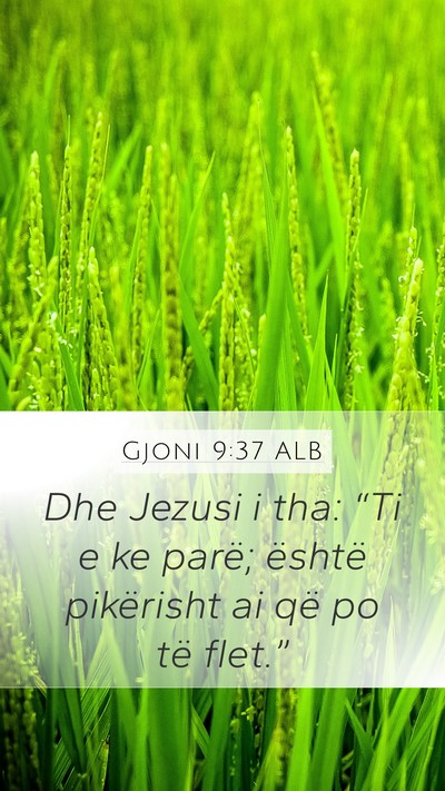 Gjoni 9:37 ALB Bible Verse Image