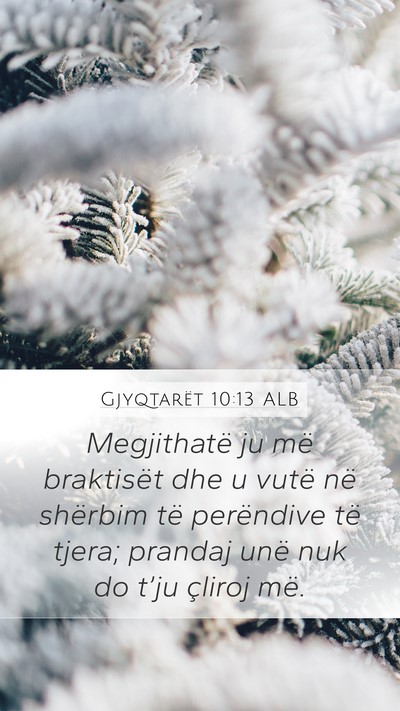 Gjyqtarët 10:13 ALB Mobile Phone Wallpaper - Megjithatë ju më braktisët dhe u vutë në - Mobile Bible Verse Wallpaper