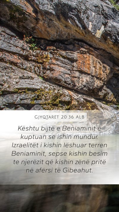 Gjyqtarët 20:36 ALB Bible Verse Image