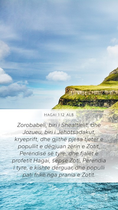 Hagai 1:12 ALB Bible Verse Image