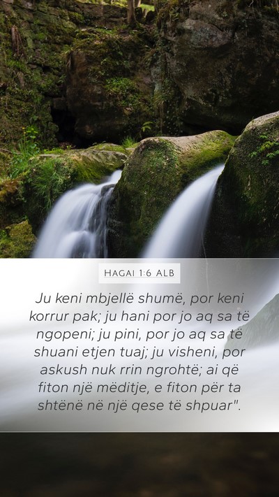 Hagai 1:6 ALB Bible Verse Image
