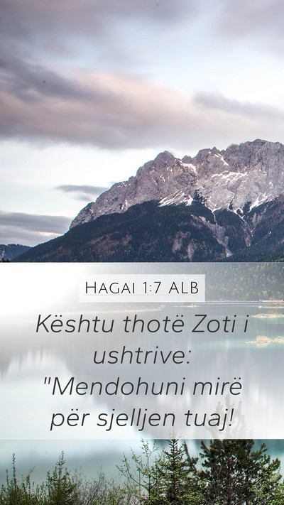 Hagai 1:7 ALB Bible Verse Image