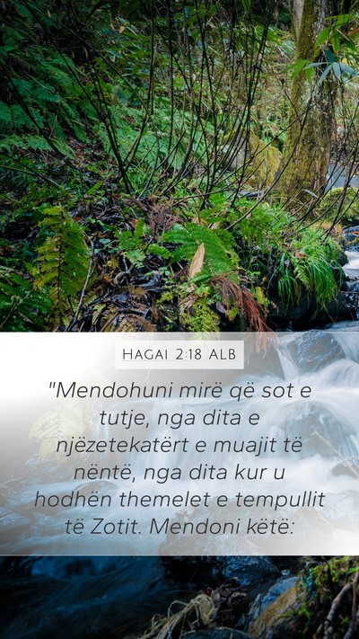 Hagai 2:18 ALB Bible Verse Image