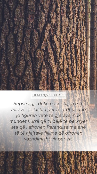 Hebrenjve 10:1 ALB Bible Verse Image