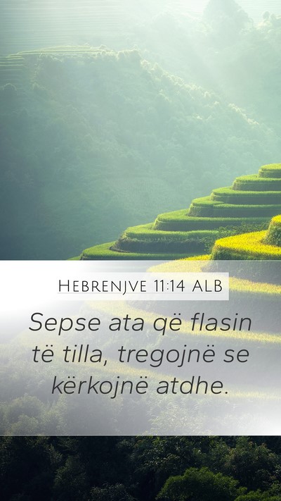Hebrenjve 11:14 ALB Mobile Phone Wallpaper - Sepse ata që flasin të tilla, tregojnë se - Mobile Bible Verse Wallpaper
