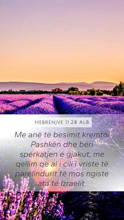 Hebrenjve 11:28 ALB Bible Verse Image