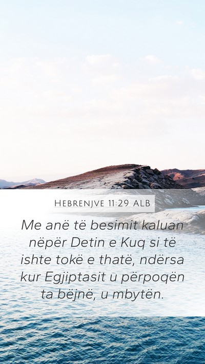Hebrenjve 11:29 ALB Bible Verse Image