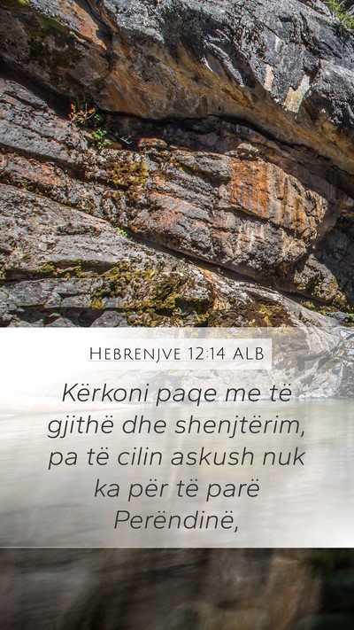 Hebrenjve 12:14 ALB Bible Verse Image