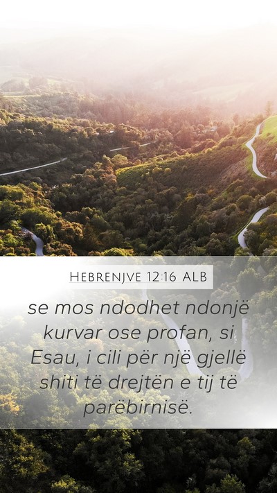 Hebrenjve 12:16 ALB Bible Verse Image