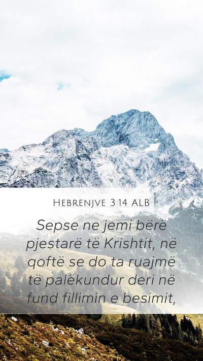 Hebrenjve 3:14 ALB Bible Verse Image
