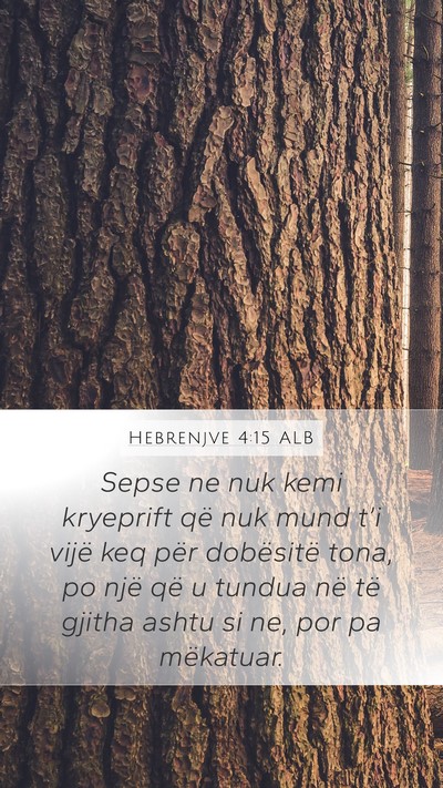 Hebrenjve 4:15 ALB Bible Verse Image