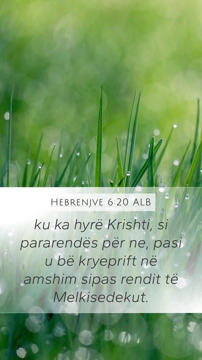Hebrenjve 6:20 ALB Bible Verse Image