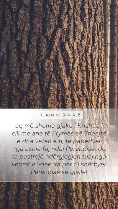 Hebrenjve 9:14 ALB Bible Verse Image
