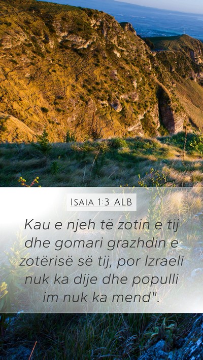 Isaia 1:3 ALB Bible Verse Image