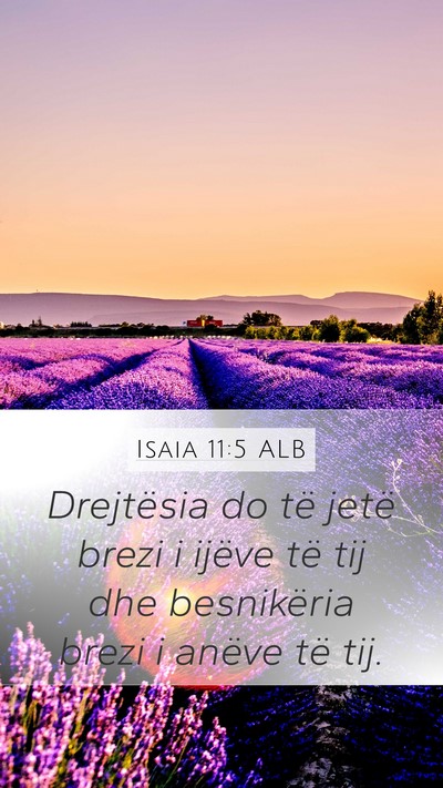 Isaia 11:5 ALB Bible Verse Image