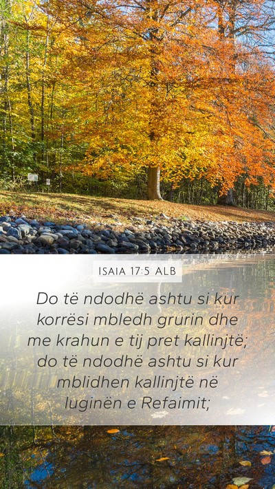 Isaia 17:5 ALB Bible Verse Image